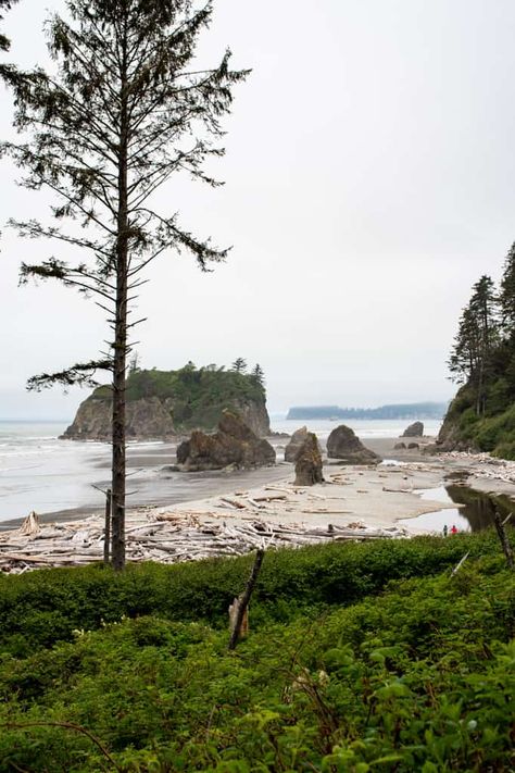 Olympic Peninsula Road Trip Itinerary - Adventures of A+K Seattle Beach, Seattle Travel Guide, Things To Do In Seattle, Colorado Trip, Seattle Travel, Washington Hikes, Washington Travel, Colorado Adventures, Lake Union