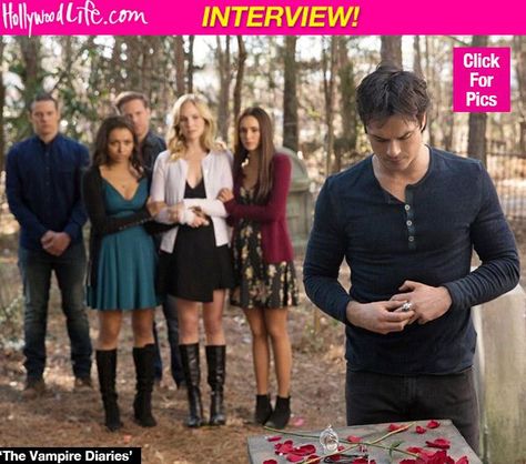 Tvd Season 8, Vampire Diaries Stefan, Vampire Diaries Quotes, Vampire Diaries Seasons, Vampire Diaries Funny, Bonnie Bennett, Daniel Gillies, Vampire Diaries Cast, Caroline Forbes