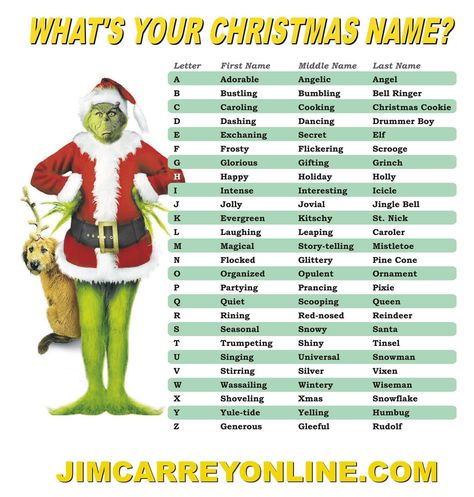 Christmas Gift Questionnaire, Funny Name Generator, Reindeer Names, Fun Christmas Party Games, Christmas Door Decorating Contest, Christmas Games For Family, Door Decorating Contest, Jesus Birthday, Christmas Memes