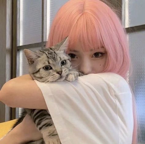 Ulzzang Girl Icon, Girls Ulzzang, Yuki Itose, Asian Cat, Pink Hair, We Heart It, Lost, Hair, Pink