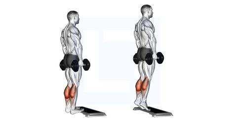 Elevated Calf Raises, Standing Calf Raises, Calf Raises Exercise, Standing Calf Raise, Calf Exercises, Smith Machine, Calf Raises, Gym Routine, Calf Muscles