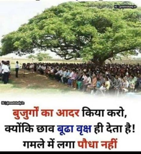 💁��🏻‍♀️Respect the elderly, because only the old tree gives shade! no potted plant.📍 April 10, 2022📍 #respect #life #elderly #tree #hindi #hindi quotes #teaching Old People Quotes, Caring For The Elderly, Quote In Hindi, Quotes Life Lessons, Grandparents Quotes, Respect Life, Elderly People, Old Tree, Lesson Quotes