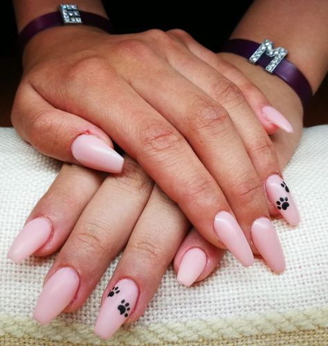 Dog Paws Nails, Paw Print Nails Dog, Nails With Dog Paws, Nails Pink Matte, Pink Matte Nails, Paw Print Nails, Nails Biab, Paw Nails, Cool Nails