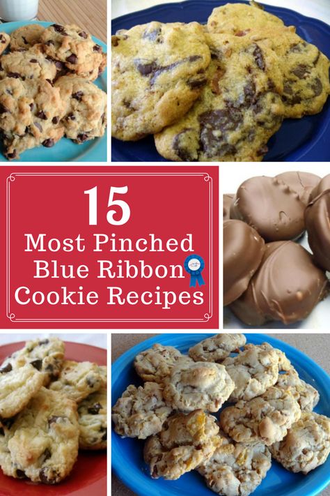 15 Most Pinched Blue Ribbon Cookie Recipes Pudding Bar, Bake Off Recipes, Blue Ribbon Recipes, Cookie Contest, Baking Contest, Mini Pretzels, Fair Food, Favorite Dessert Recipes, Star Food