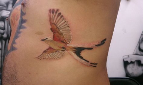 flycatcher Scissortail Tattoo, Scissor Tailed Flycatcher Tattoo, Scissortail Flycatcher Tattoo, Scissor Tailed Flycatcher Drawing, Dragonfly Dagger Tattoo, Scissor Tail Bird, Scissor Tailed Flycatcher, Rock Of Ages Tattoo, 2spirit Tattoo