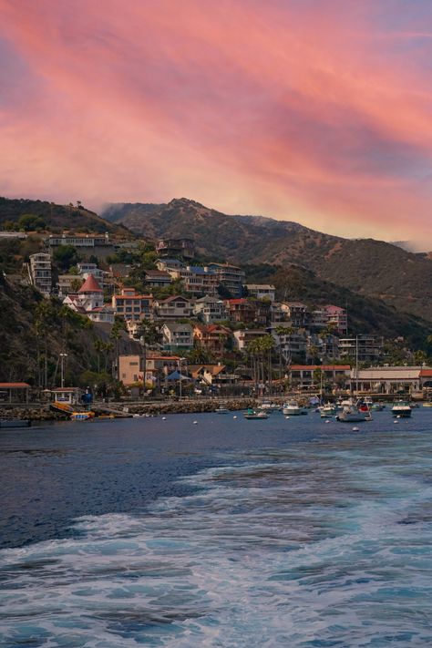 Scuba Diving Art, Avalon Catalina Island, Island Birthday, Mexico Cruise, Travel Inspiration Destinations, Us Road Trip, Fun Activities To Do, Catalina Island, Boat Ride