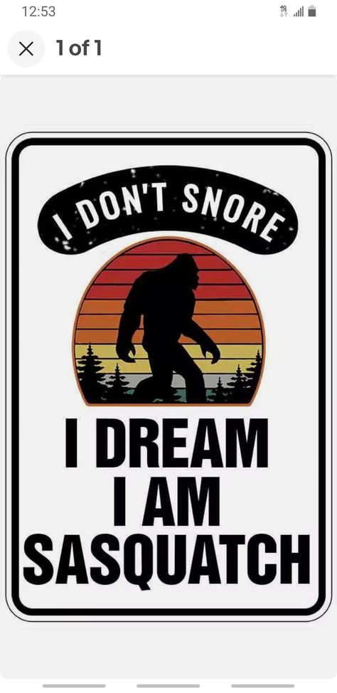 Bigfoot Quotes Funny, Bigfoot Bedroom, Bigfoot Quotes, Bigfoot Festival, Sasquatch Gang, The Sasquatch Gang, Sasquatch Funny, Sasquatch Riding A Bike, Bigfoot Party