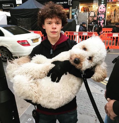 Harry Holland Age, Height, Weight, Wife, Kids, Net Worth Brothers Trust, Holland Brothers, Harry Holland, Kids Net, Harrison Osterfield, British Family, Men's Toms, Dear Future Husband, Wife And Kids