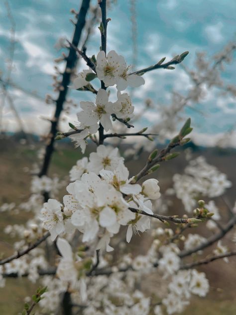 April Aesthetic, Rainy Weather, Spring Aesthetic, Time Photo, Autumn Vibes, Spring Vibes, Aesthetic Backgrounds, Fall Vibes, Spring Time