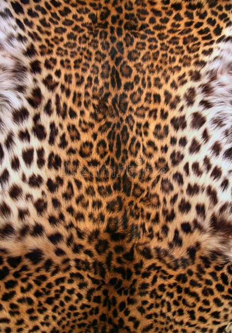 Iphone Wallpaper King, Art Studio Storage, Tiger Skin, Fur Texture, Bedroom Wall Designs, Animal Print Wallpaper, Abstract Pattern Design, Leopard Skin, Spell Caster