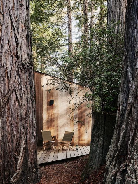 Forest Retreat, Sea Ranch, Rustic Interiors, Architecture Details, Landscape Design, House Exterior, Architects, Original Designs, Arch