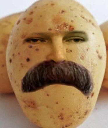 Potato Meme, Potato Drawing, Potato Picture, Potato Face, Potato Man, Funny Vegetables, Cute Potato, Weird Plants, Cartoon Style Drawing