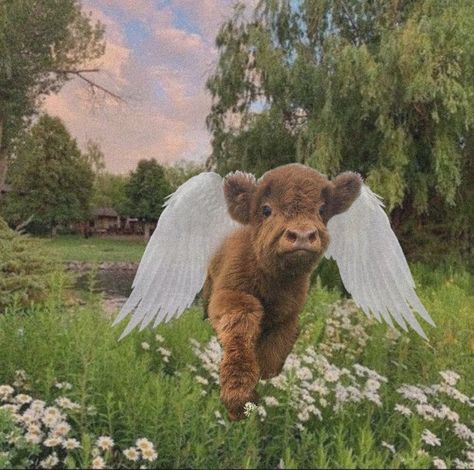 cottagecore fairycore cow angel angelic summer cute animal wallpaper pfp background Fairycore Pfp, Cottagecore Pictures, Cottagecore Animals, Cottagecore Wallpaper, Pet Cows, Wallpaper Pfp, Cow Wallpaper, Cow Drawing, Cutee Animals