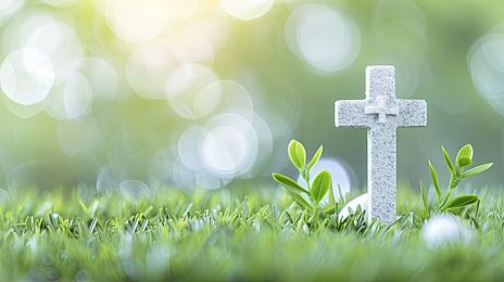 white,cross,jesus,christ,color,green,grass,meadow,blur,bokeh,faith,symbol,religion,catholic,landscape,signs,belief,nature,bright,bible,light,plant,christian,design,holy,peace Faith Symbol, Grass Meadow, Cross Of Jesus, Jesus Background, Christian Backgrounds, Cross Jesus, Catholic Images, Psd Background, Vector Trees