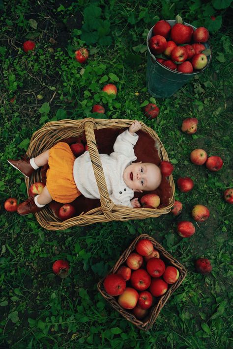 Fall Baby Pictures, Pumpkin Patch Photoshoot, Baby Apple, Baby Milestones Pictures, Apple Photo, Monthly Baby Pictures, Fruits Photos, Baby Calendar, Fall Mini