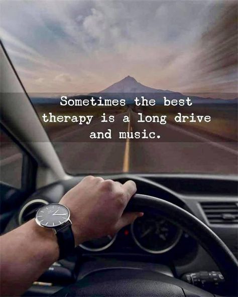 Driving Quotes Humor, Love Quotes In English, Driving Quotes, English Love Quotes, Quotes In English, Instagram Bio Quotes, Quotes Humor, Horse Dressage, Life Is A Gift