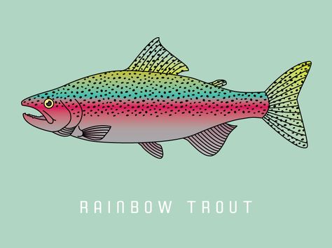 Beautiful Rainbow Trout Digital Illustration Trout Illustration, Rainbow Trout Cross Stitch Pattern, Rainbow Trout Watercolor, Rainbow Trout Picture, Rainbow Trout Illustration, Trout Art, Ocean Illustration, Pottery Inspo, Christmas Clay