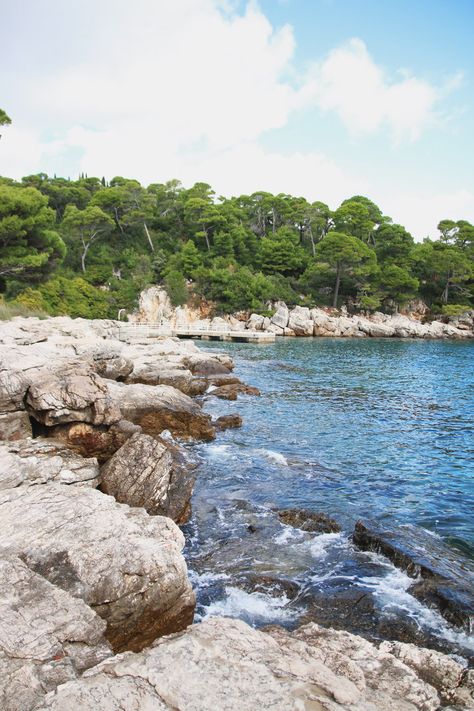 Lokrum Island, Dubrovnik - Croatia Lokrum Island, Travel Croatia, Dalmatia Croatia, Boat Trip, Old Port, Boat Ride, Dubrovnik Croatia, The Fort, Boat Trips