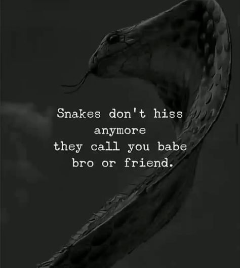 Snake In The Grass Quotes, Grass Quotes, Snakes In The Grass, Snake In The Grass, Motivational Words, The Grass, Snakes, Positive Thinking, Favorite Quotes