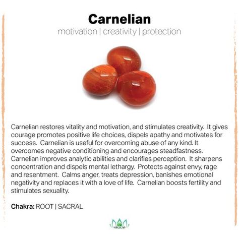 Carnelian Healing Properties, Organizing Crystals, Carnelian Properties, Crystal Healing Chart, Crystal Guide, Carnelian Crystal, Crystals Healing Properties, Spiritual Crystals, Gemstone Meanings