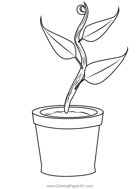 Growing Plant Coloring Page Flower Pot Template, Plants Coloring Pages, Pot Template, Plants Printable, Pot Drawing, Template Art, Plant Doodle, Planting For Kids, Tree Drawings Pencil