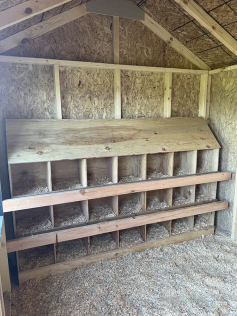 DIY Nesting Box – Extra Large Tire Nesting Boxes, Cheap Nesting Boxes For Chickens, Diy Chicken Nesting Boxes Simple, Chicken Nesting Boxes Diy, Diy Roosting Bars For Chickens, Chicken Nesting Box Ideas Diy, Diy Nesting Boxes For Chickens, Chicken Nesting Box Ideas, Nesting Boxes For Chickens