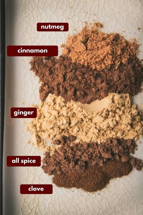 Homemade Pumpkin Pie Spice, Pumpkin Pie Spice Recipe, Gingerbread Spice, Pie Spice Recipe, Pumpkin Pie Spice Mix, Homemade Gingerbread, Homemade Spice Mix, Homemade Pumpkin Pie, Christmas Spices