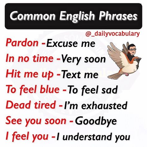 Advanced English Phrases, French Swear Words, Common English Phrases, Phrases English, English Adjectives, English Transition Words, Advanced English Vocabulary, English Phrases Idioms, English Learning Spoken