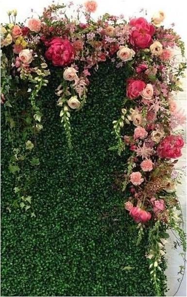 Diy Wedding Photo Booth, Flower Wall Wedding, Diy Wedding Backdrop, Photos Booth, Flower Wall Backdrop, Wedding Photo Booth, Photo Booths, Diy Backdrop, Photo Booth Backdrop