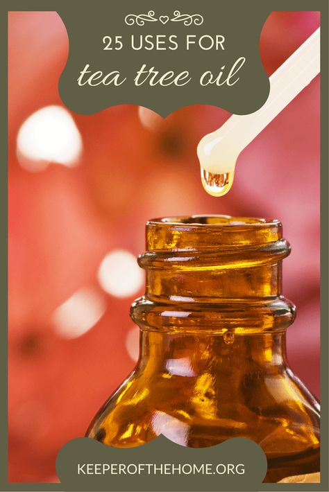 Doterra Tea Tree Oil Uses, Tea Tree Oil For Eye Stye, Uses For Tea Tree Essential Oil, Uses Of Tea Tree Oil, How To Use Tea Tree Oil, Tea Tree Oil Benefits For Skin, What Is Tea Tree Oil Good For, Tee Tree Oil Benefits For Skin, Tea Tree Oil Uses For Skin Dark Spots