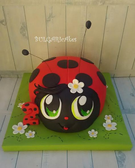 Ladybug Birthday Cake, Ladybird Cake, Ladybug Cakes, Bug Cake, Ladybug Cake, Ladybug Baby Shower, Ladybug Birthday Party, Tin Kitchen, Cake Maker