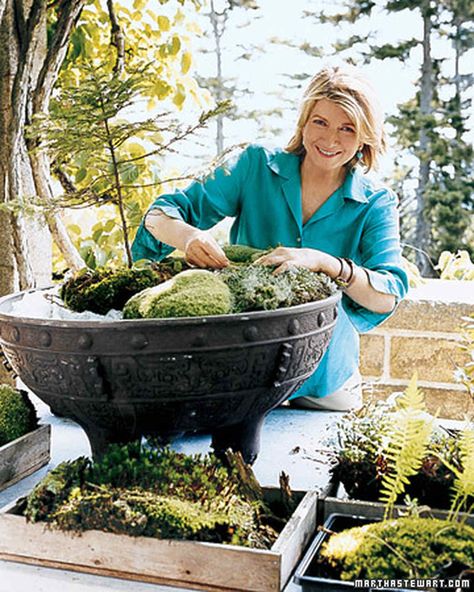 Moss Bowl, Ideas For The Garden, Growing Moss, Martha Stewart Home, Moss Plant, Plastic Trash, Moss Garden, Starting A Garden, Garden Containers