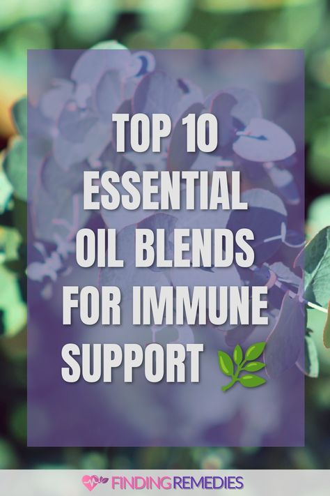 Top 10 Essential Oil Blends for Immune Support 🌿 Immunity Essential Oils, Melaleuca Essential Oil, Oregano Essential Oil, Thyme Essential Oil, Clove Essential Oil, Lime Essential Oil, Ginger Essential Oil, Cinnamon Essential Oil, Using Essential Oils