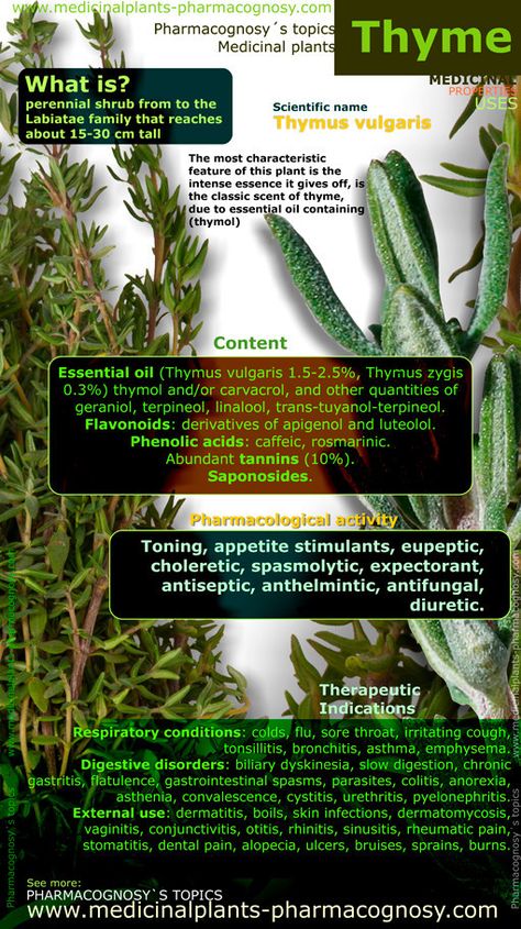 Thyme. Infographic. Summary of the general characteristics of the Thyme plant. Medicinal properties, benefits and uses more common of Thyme. Pharmacognosy - Medicinal plants - Herbs. http://www.medicinalplants-pharmacognosy.com/herbs-medicinal-plants/thyme-health-benefits/infographic-thyme/ Thyme Benefits, Benefits Infographic, Thyme Plant, Healing Plants, Healing Herbs, Planting Herbs, Medicinal Herbs, Health Info, Medicinal Plants