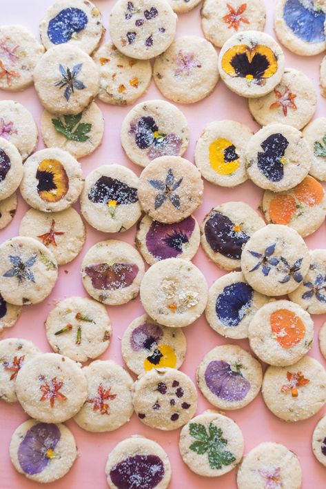 Gluten-Free Edible Flower Pistachio Shortbread Cookies Recipe Pistachio Shortbread Cookies, Gluten Free Shortbread Cookies, Pistachio Shortbread, Flower Recipe, Flower Recipes, Shortbread Cookies Recipe, Gluten Free Shortbread, Edible Flowers Recipes, Pistachio Cookies