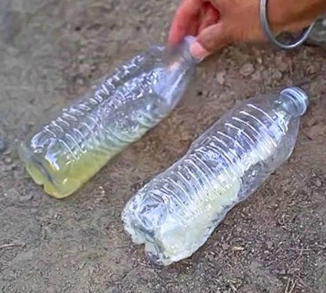 Easy DIY Recycled Ant Trap Tutorial Diy Ant Trap Indoor, Ant Trap Diy, Ant Traps Homemade, Diy Ant Trap, Borax For Ants, Outdoor Candle Holders, Ant Colony, Rid Of Ants, Black Ants