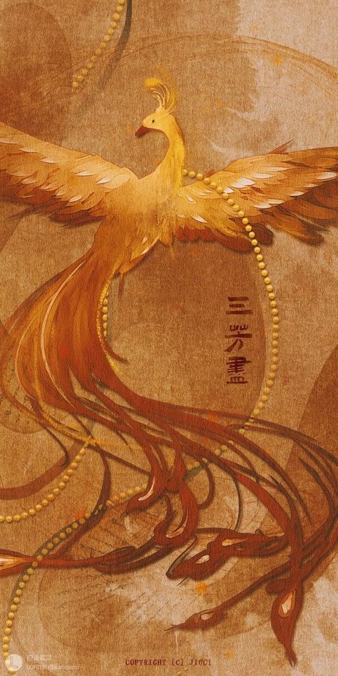 Chinese Mythology Aesthetic, Phoenix Aesthetic Bird, Phoenix Aesthetic Wallpaper, Phoenix Mythology, Phoenix Illustration, Gravity Art, Phoenix Pattern, Chinese Aesthetic, Dragon Artwork Fantasy