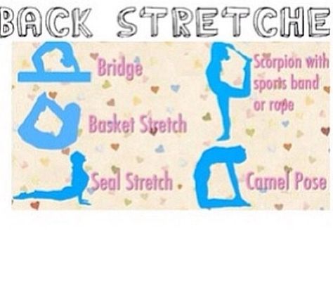 Back stretches for cheer dance or gym! Cheer Workouts For Flyers, Stretches For Cheer, Cheer Flexibility, Cheer Stretches, Cheerleading Tips, Cheerleading Workouts, Cheer Flyer, Cheer Hacks, Gymnastics Flexibility