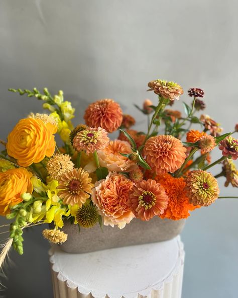 Summertime hues and local flower farm blooms 🙌🏻 #summerarrangement #zinnia #flowerfarm #localflowers #coloradoflorist Zinnia Flower Arrangements, Zinnia Flower, Zinnia Flowers, Flower Farm, Lush, Flower Arrangements, Floral Design, Flowers, Floral