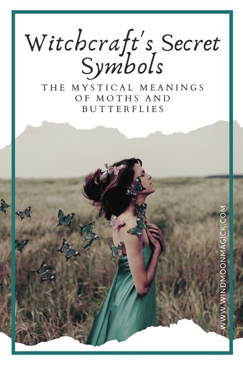 Unlock the magic of moths and butterflies in modern witchcraft✨✨ Discover their deep spiritual meanings and harness their power in spell work for personal growth, renewal, and spirit communication. 🦋🌙 #MothsAndButterflies #ModernWitchcraft #Spellwork #TransformationMagic #PersonalGrowth #Renewal #SpiritCommunication #LoveSymbols #HopeAndRenewal #RomanticRelationships #SpiritWorld #AfterlifeConnection #DivinationPractices #MagicSymbols #Metamorphosis Moth Meaning, Moth Symbolism, Secret Symbols, Types Of Moths, Butterfly Symbolism, Butterfly Meaning, Moon Meaning, Hummingbird Moth, Moths And Butterflies