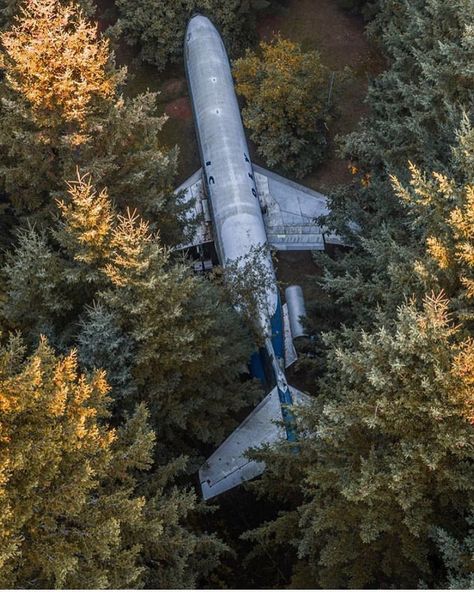 Abandoned plane in the woods! 🏚 Tag a friend who would visit! 👍 Photo credi Abandoned Plane, Commercial Aircraft, Desert Island, Environment Design, Environment Concept Art, Tag A Friend, Abandoned Places, Graveyard, In The Woods