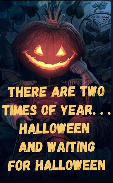 There are two times of year... Halloween and waiting for Halloween Facts About Halloween, Waiting For Halloween, Marla Singer, New Orleans Voodoo, Halloween Humor, Halloween Eve, Halloween Memes, Spider Man 3, Halloween Countdown