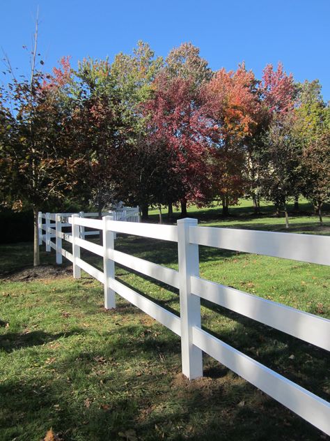 4' tall white Ranch Rail vinyl White Farm Fence, Ranch Rail Fence, Cottage Fence, Farm Fencing, Gabion Fence, Easy Fence, Fence Plants, Picket Fences, Small Fence