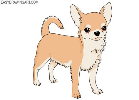 how to draw a cartoon chihuahua Anime Chihuahua, Cartoon Chihuahua, Chihuahua Drawing, Apple Head Chihuahua, Drawing Lesson, Long Haired Chihuahua, Drawing Heads, Pet Sympathy, 101 Dalmatians