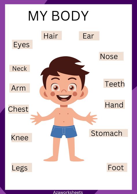 Body parts worksheets for preschoolers and nursery students Picture Graph Worksheets, Picture Of Body Parts, Body Parts Preschool Activities, Body Parts For Kids, Human Body Worksheets, Body Parts Preschool, Preschool Coloring Pages, Human Body Parts, Learning Abc