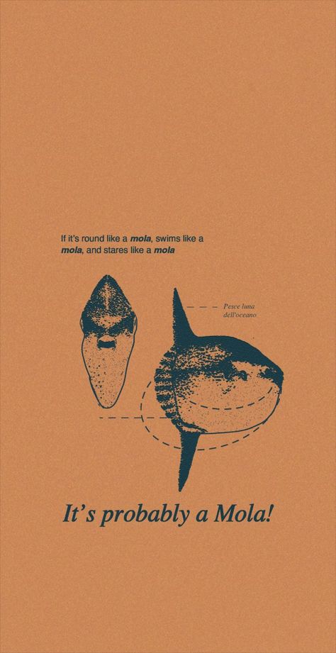 Rustic Illustration, Ios 16 Lockscreen, Wallpaper Ios 16, Ocean Sunfish, Marine Poster, Biology Poster, Mola Mola, Science Textbook, Wallpaper Ios