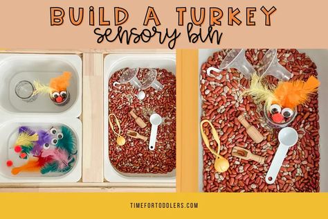 This thanksgiving sensory bin for toddlers is sure to be a hit this November! Let your toddler build their own turkey! Sensory Bin Thanksgiving, Thanksgiving Sensory Bin Preschool, Turkey Sensory Bin, Thanksgiving Sensory Bin, November Preschool Themes, Thanksgiving Toddler Activities, Thanksgiving Sensory, Turkey Crafts For Preschool, Build A Turkey