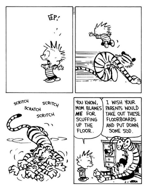 Calvin And Hobbes Humor, Hobbes And Bacon, The Far Side Comics, Calvin And Hobbes Quotes, Stuffed Tiger, Bill Watterson, Calvin And Hobbes Comics, Far Side Comics, Funny Tips