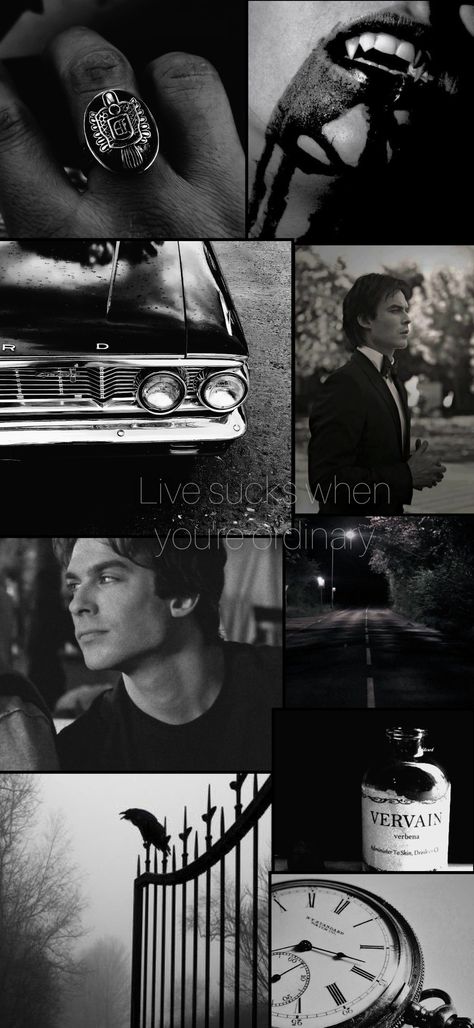 Damon Salvatore Wallpaper, Damon Salvatore Aesthetic, Salvatore Aesthetic, Vampire Diaries Damon, Dont Touch Me, Damon Salvatore, Black Aesthetic, Vampire Diaries, Aesthetic Wallpapers