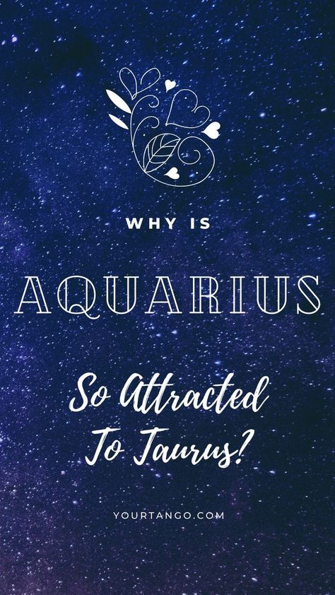 Why Aquarius Is So Attracted To Taurus | YourTango #zodiac #aquarius #love #relationship #taurus Taurus Aquarius Love Relationships, Aquarius X Taurus, Aquarius And Taurus Relationship, Taurus Man Aquarius Woman, Aquarius Taurus Compatibility, Taurus Turn Ons, Taurus Boyfriend, Aquarius Men Relationships, Aquarius And Taurus